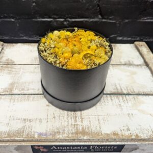 Yellow dried flowers in a black hat box. – side view