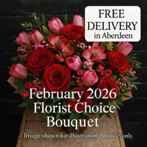 Anastasia Florists A vibrant February 2026 Florist Choice seasonal flower bouquet in a glass vase with a pink ribbon, featuring red ranunculus and pink hellebores against a black background.