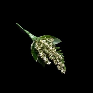 Heather buttonhole wedding flower