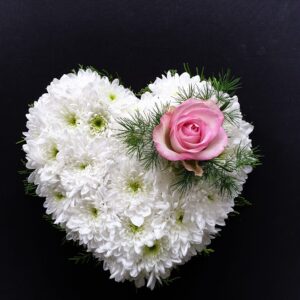 Miniature white chrysanthemum heart funeral tribute with a single pink rose on a black background