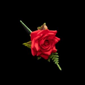 Red rose buttonhole with greenery