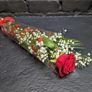 Single red rose wrapped with Gypsophila and foliage in clear cellophane with red ribbon – Anastasia Florists Aberdeen