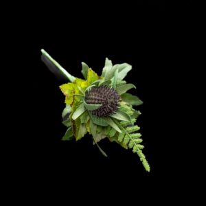 Thistle buttonhole wedding flowers with greenery