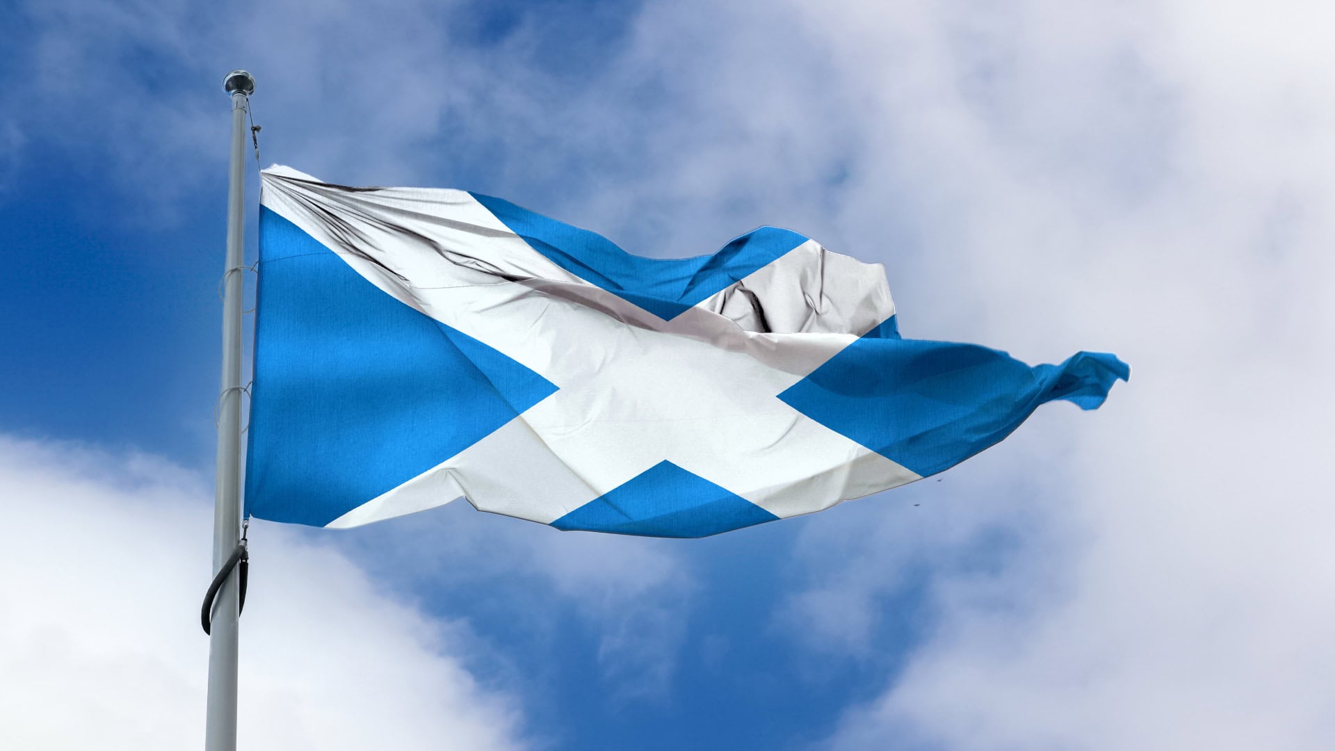 Celebrate St. Andrew’s Day with Scottish-Inspired Floral Arrangements