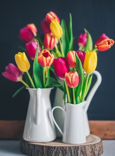 Amazing Colorful Flower in Aberdeen