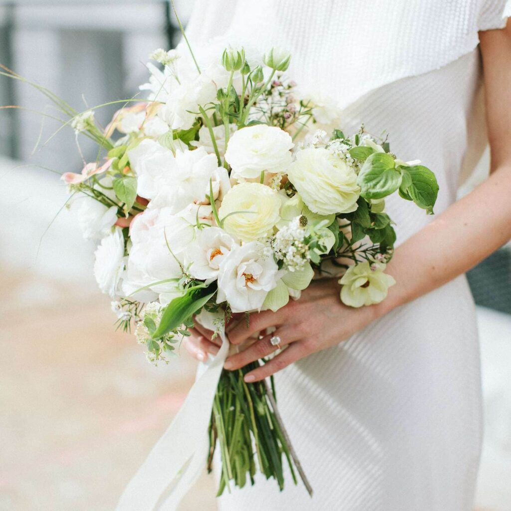 enchanting renunculus