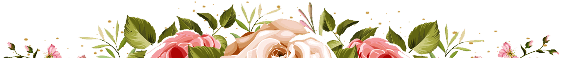 Aberdeen Flowers Aberdeen Flowers