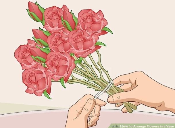 A man Hair Tie the Red Rose