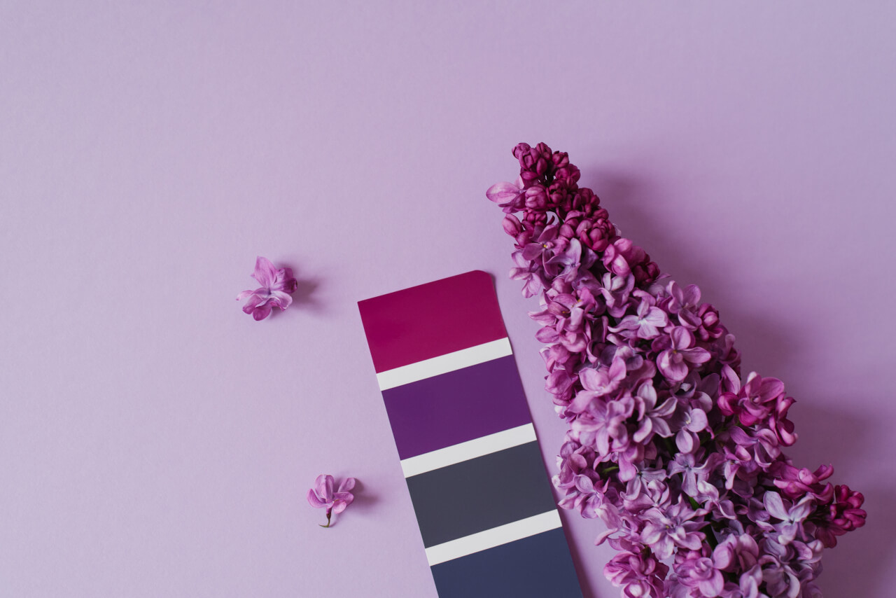 Spring Colour Palettes: Which Flowers Work Best Together