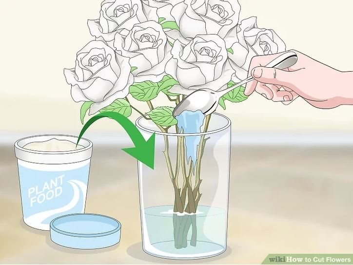 Tips on Preparing Flowers for Arrangements in Scotland