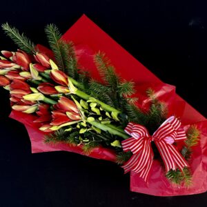 Amaryllis | Flower Gifts | Aberdeen Florists