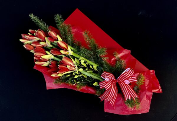 Amaryllis | Flower Gifts | Aberdeen Florists