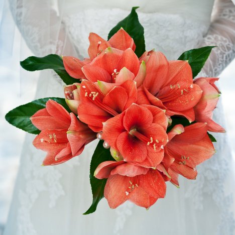 Amaryllis Wedding Bouquet in Wedding Flower Inc