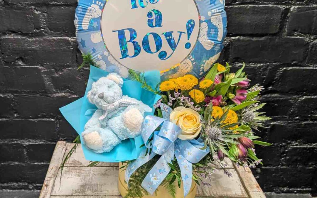 Baby Boy Gift Set