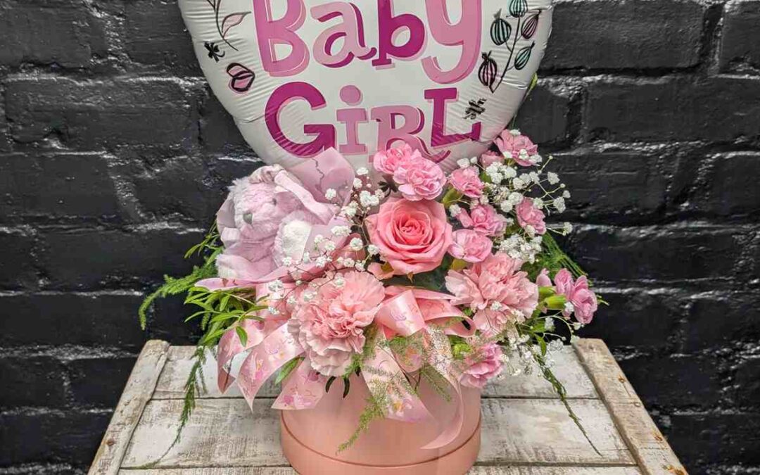 Baby Girl Gift Set