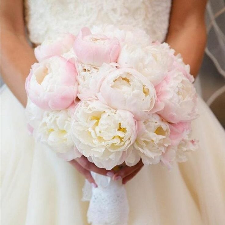 Blushing Peonies edited Blushing Peonies edited