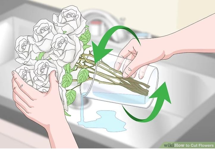 Tips on Preparing Flowers for Arrangements in Scotland