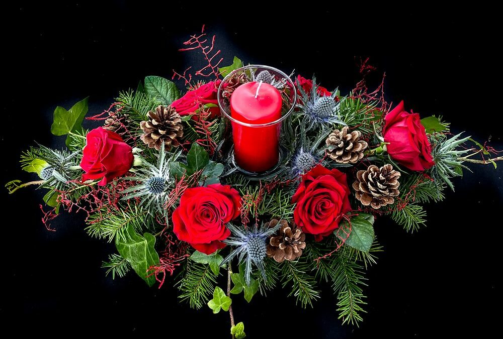 Christmas Cove – Red