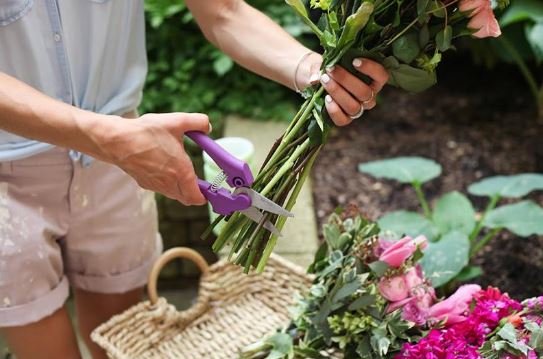 How to Keep Flowers and Bouquet Last Longer