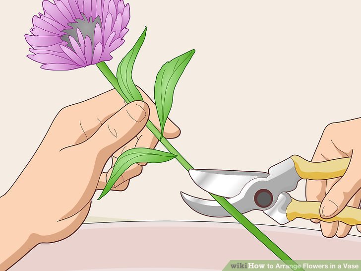 Cutting Stem Flower 