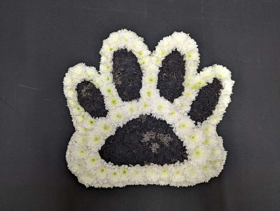 Anastasia Florist Celebrates 30th Anniversary as Best Florist in Aberdeen