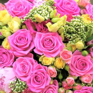 A Bundle of Beautiful Roses | Anastasia Florists