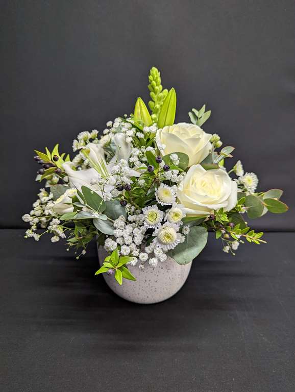 White Roses with Pot