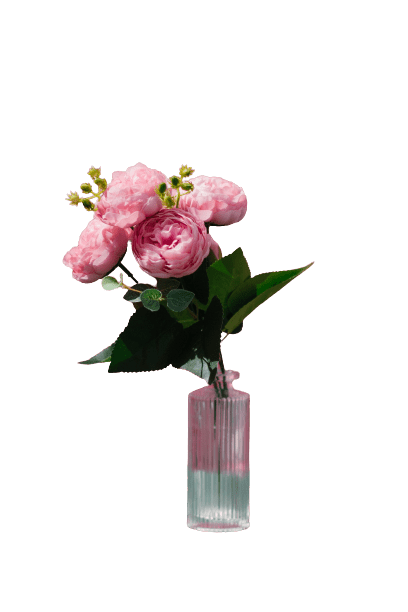 Friendship Flowers For You | Anastasia Florists
