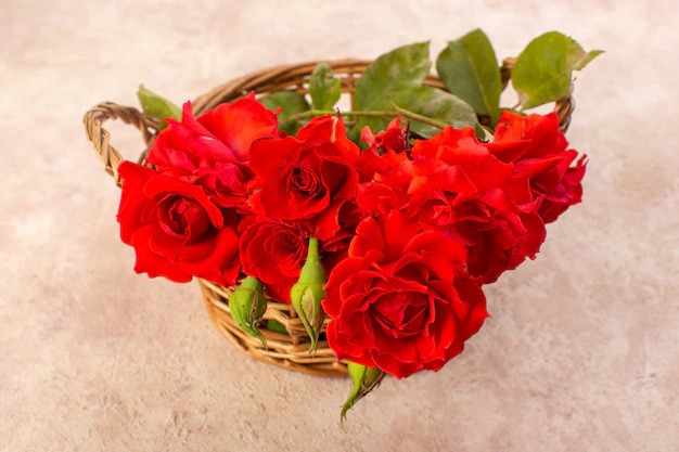 Gift  Basket For You | Anastasia Florists