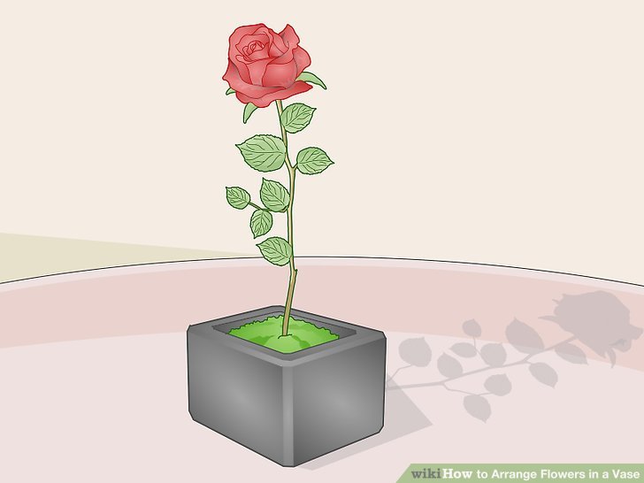 Red Rose in Cube Shape Vase
