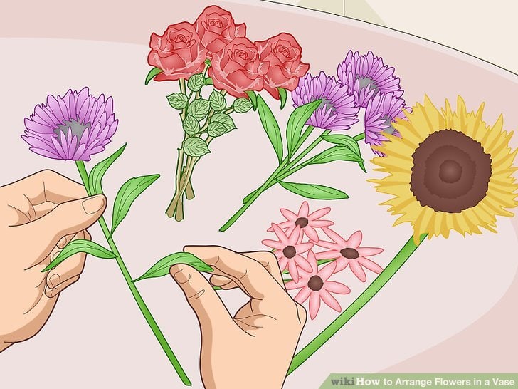 Arranging Flowers and Remove any Leaves