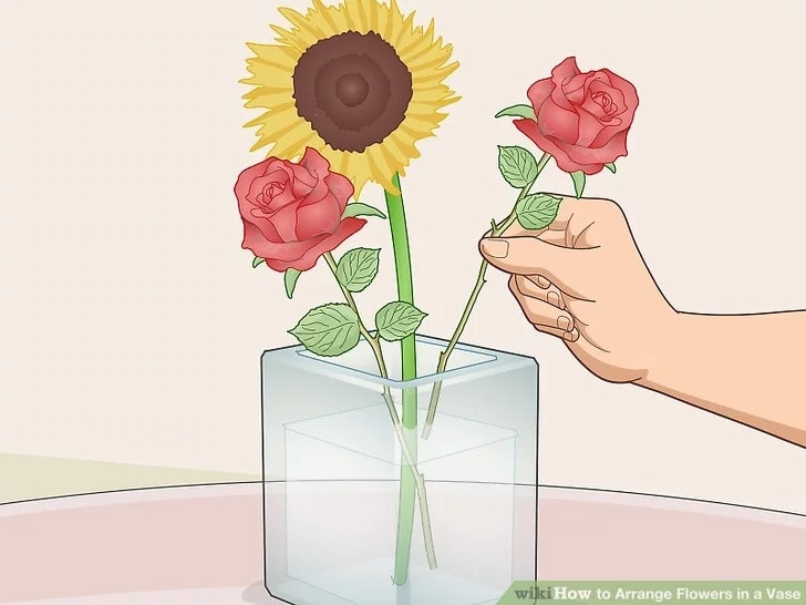 How to Arrange Flowers in a Vase