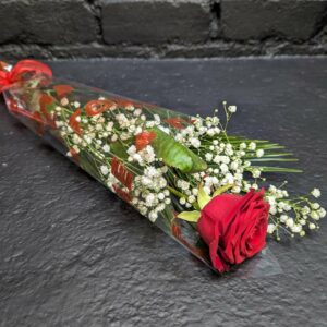 Red Rose | Aberdeen Florists | Anastasia Florist | King Street Aberdeen