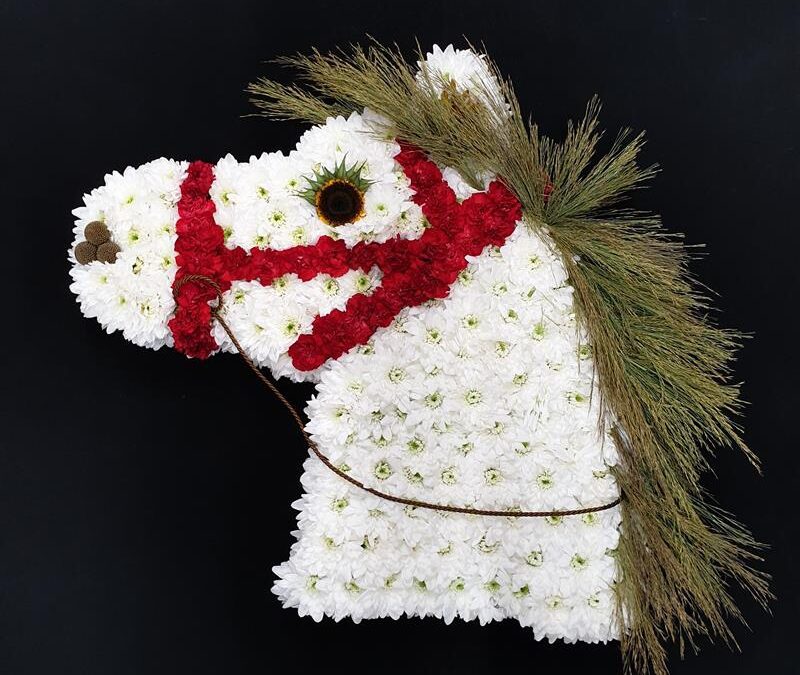 Funeral Horse 1