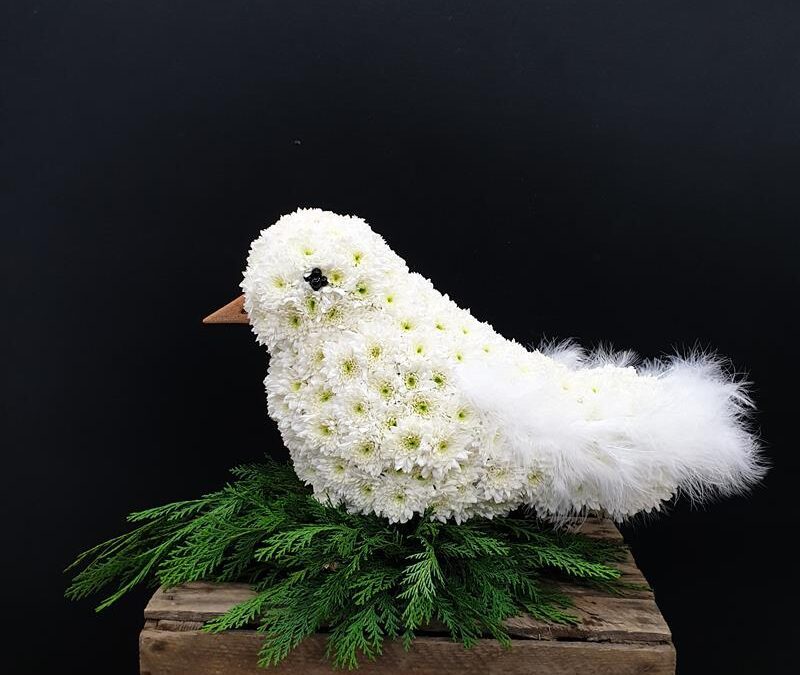 Funeral Dove