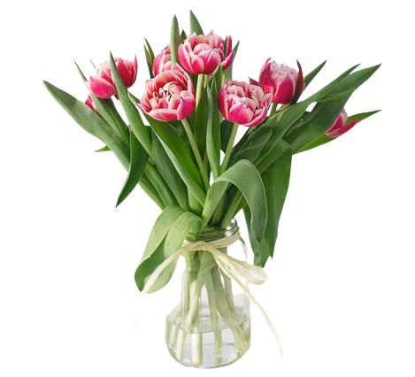 Spring Flowers For Your Beloved | Anastasia Florists