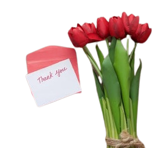 Thank You Flowers Letters | Anastasia Florists