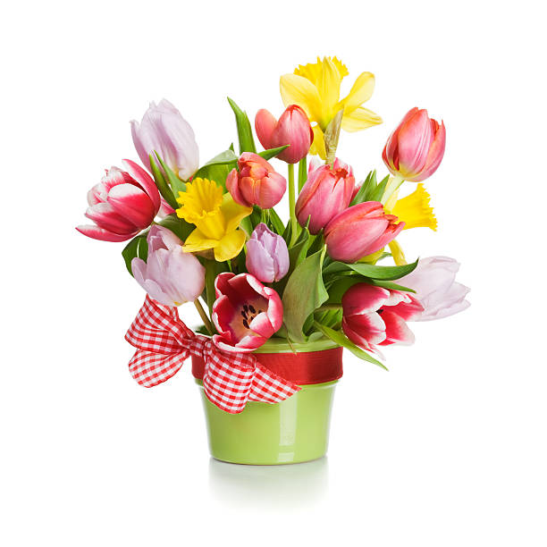 A tulips and daffodils in the same vase with a ribbon