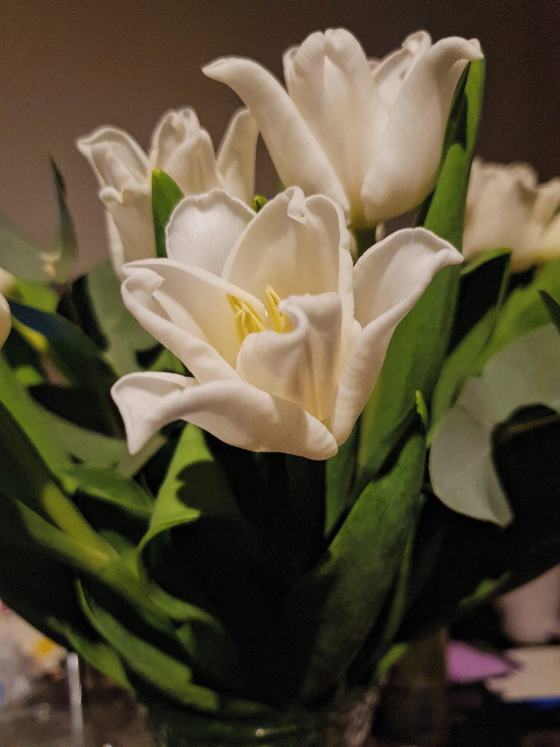 White lilies flowers with dark lighting