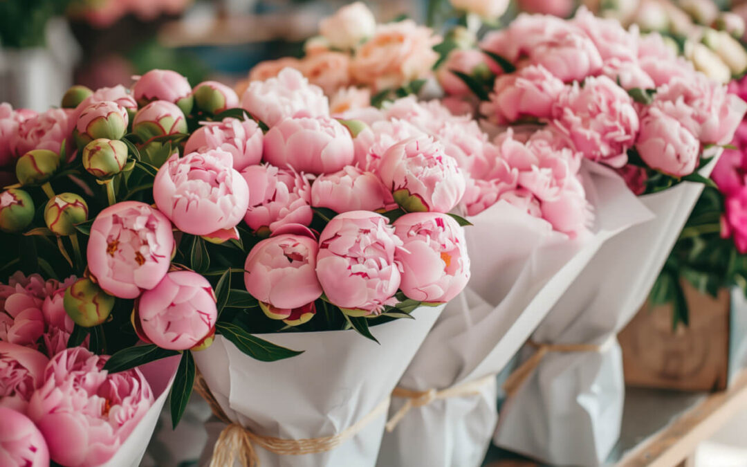 Peony Season is Here: Why We Love Locally Grown Peonies