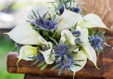Why Use Thistle in Your Flower Arrangements?