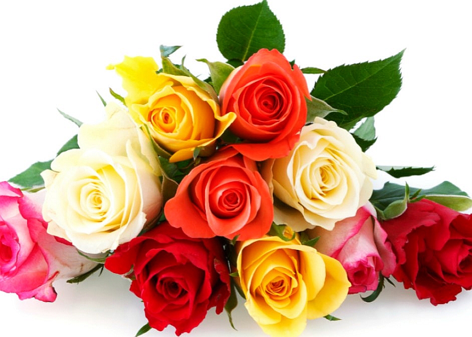 Which Roses are Best for Elegant and Romantic Style Weddings
