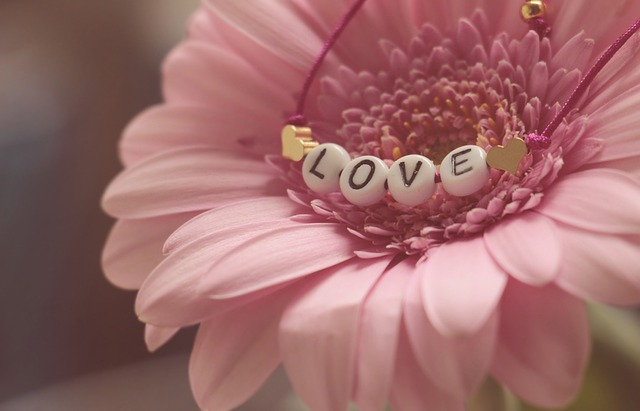 A closeup picture of a pink flower with the text "LOVE"