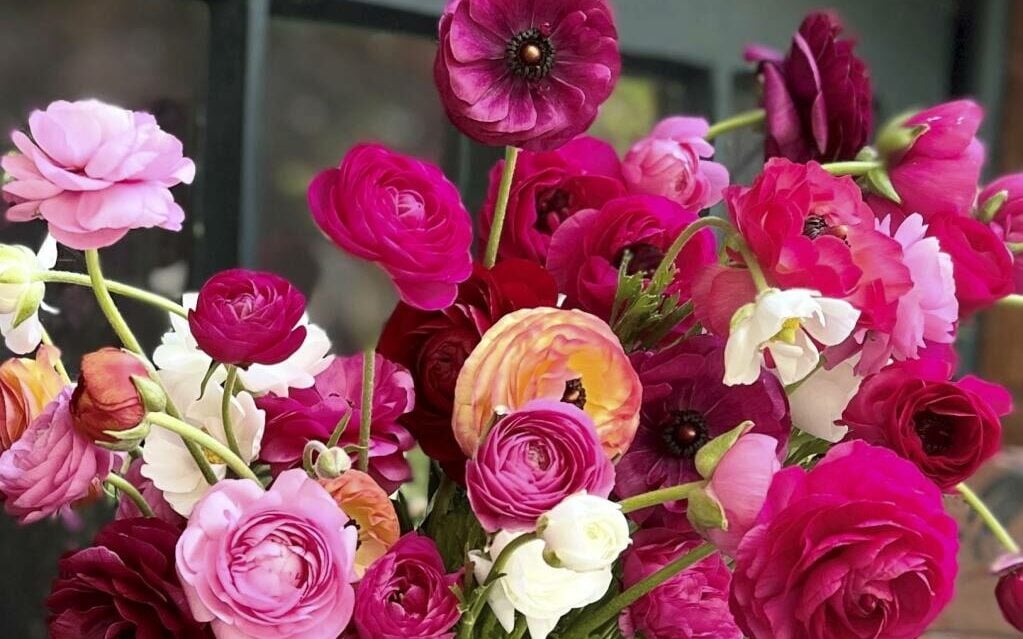 flower keep them cool edited flower keep them cool edited