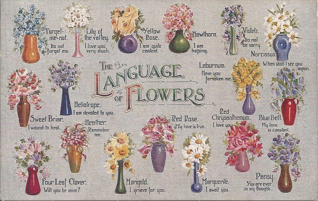 An image of the "Language of Flowers"