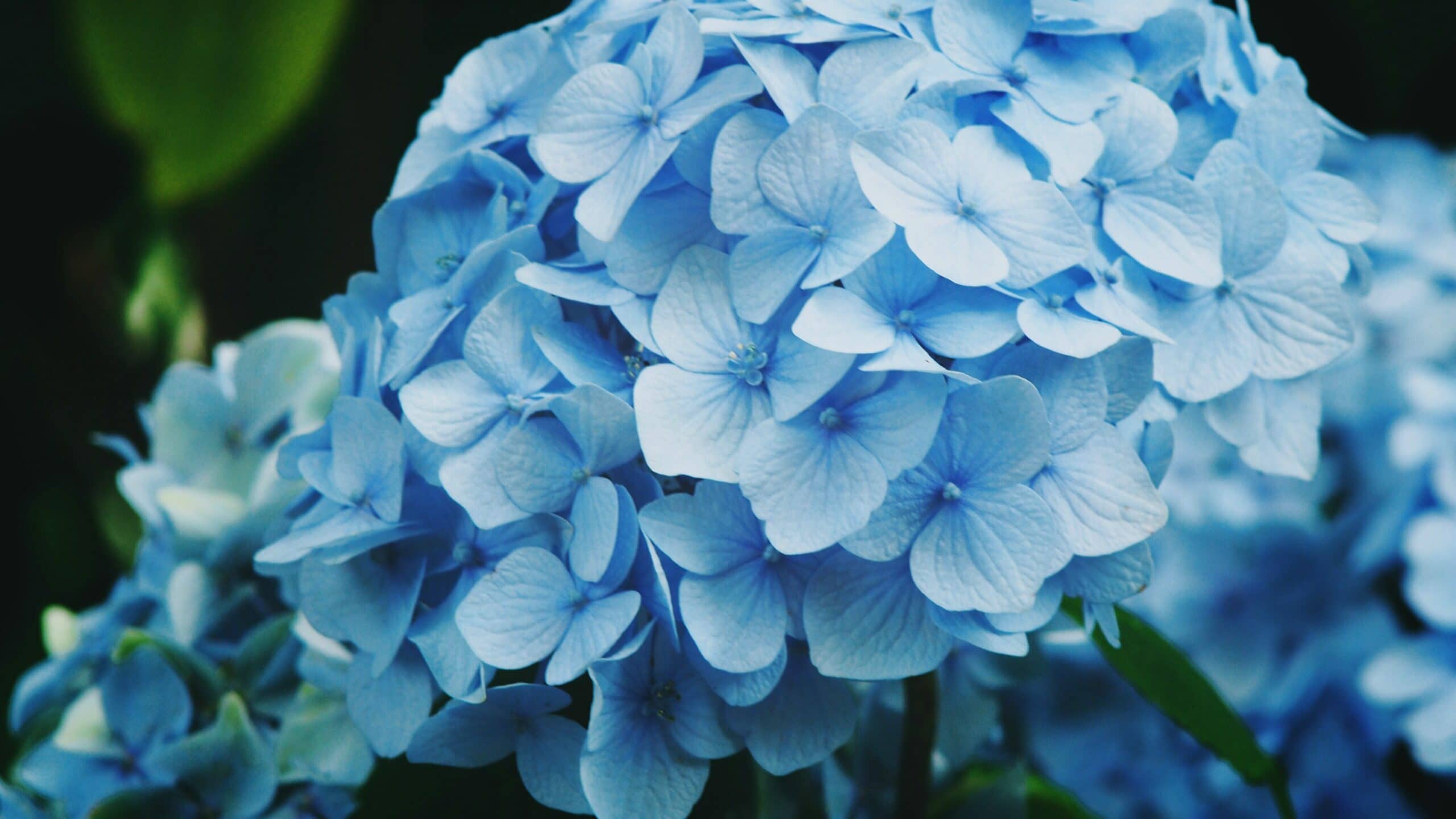 pete lambert thhFvgLWnms unsplash edited scaled