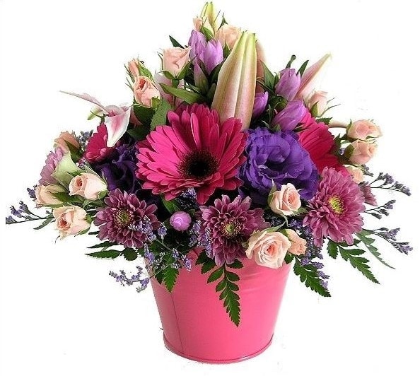 Aberdeen Florist | Same Day Flower Delivery | Flowers Aberdeen