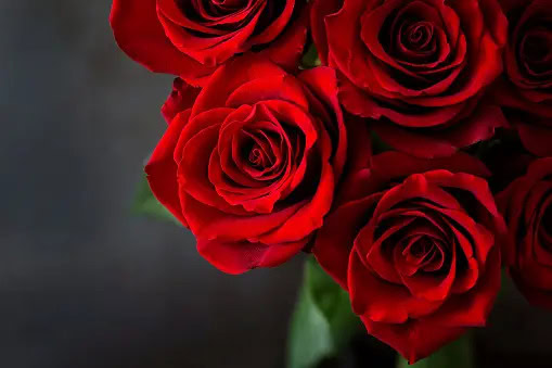 Bouquet of red roses on a black background. Top view
